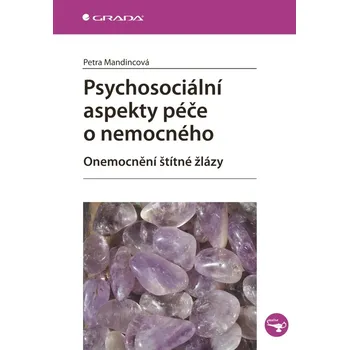 Kniha Psychosociální aspekty péče o nemocného - Petra Mandincová (E-Kniha)