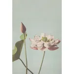 Vliesová obrazová tapeta na zeď, květ leknínu 158890, 186 x 279 cm, Blush, Esta Home