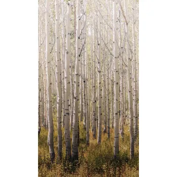 Tapeta Grandeco Stromy, Les, A42601, One roll, one motif 2, 4,72 m2, 159 x 280 cm