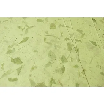 Umělecký papír Sapaimport Morušový papír Mango - světle zelený Velikost: 23x32 cm