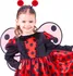 Karnevalový kostým Rappa Dětský kostým Beruška s tykadly e-obal