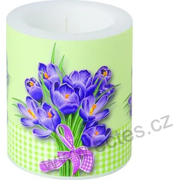 Svíčka IHR CROCUS BOUQUET velká dekorativní svíčka fialové krokusy s mašlí