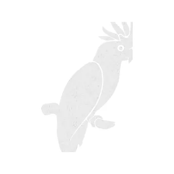 Samolepicí dekorace na vozidlo Papoušek 010 pravá kakadu (84 - Ultra Metalic bílá) SAMOLEPKA NA AUTO, NÁLEPKA, FÓLIE, POLEP, TUNING, VLASTNÍ TEXT, TISK, AUTOSAMOLEPKY.cz, POLEPY, OBRÁZEK, LOGO, 3D STICKERS