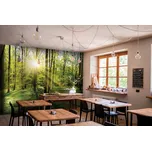 Tapeta les s východem slunce (vliesová fototapeta)