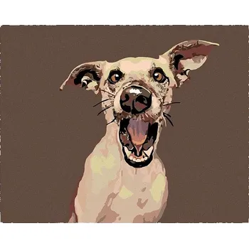 Malování podle čísel - Překvapený pes, 50x40 cm, bez rámu a bez vypnutí plátna