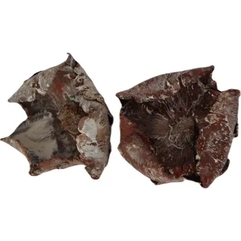 Palm cap frosted oranžová