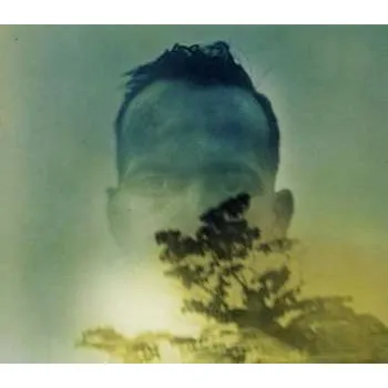 Zahraniční hudba CD Duquette Johnston: Rabbit Runs A Destiny 2013