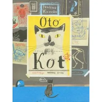 Oto kot - Wierzba Paulina