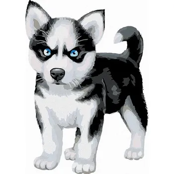 Malování podle čísel - Modrooký husky, 40x50 cm, bez rámu a bez vypnutí plátna
