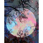 Zuty Barevný Měsíc vypnuté plátno na…