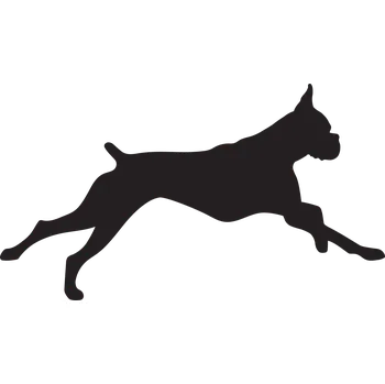 Vsepropejska Boxer 2 dřevěná dekorace na zeď Rozměr (cm): 21 x 38