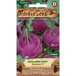 MoravoSeed Ametyst F1 kedluben raný…