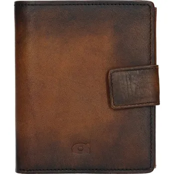 Peněženka Pánská kožená peněženka Daag P11 - hnědá
