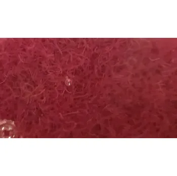 Krmivo pro rybičky TUBIFEX ŽIVÝ-NITĚNKA OBECNÁ 1KG