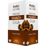 Herbex Posílená imunita Čaga 20x 3 g