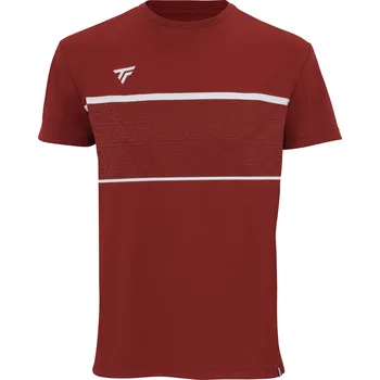 Pánské tričko Pánské tričko Tecnifibre Club Tech Tee Cardinal M