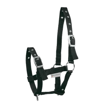 Vybavení pro koně Waldhausen Hříběcí ohlávka Barva: Vínová