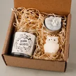 Přírodní vonná svíčka palmová - AROMKA - Dárkové balení pro pana učitele - Kónusový váleček, čajovka, mini sovička Vůně: Bílý čaj