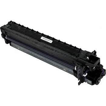 Originální Ricoh D2970121