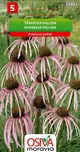 Osiva Moravia Echinacea Pallida…