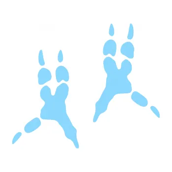 Samolepicí dekorace na vozidlo Papoušek 008 stopy pravá (03 - světle modrá) SAMOLEPKA NA AUTO, NÁLEPKA, FÓLIE, POLEP, TUNING, VLASTNÍ TEXT, TISK, AUTOSAMOLEPKY.cz, POLEPY, OBRÁZEK, LOGO, 3D STICKERS