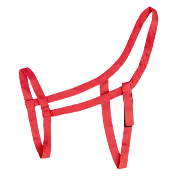 Vybavení pro koně Pastevní ohlávka Waldhausen bez kování Barva: Červená, Velikost: Full