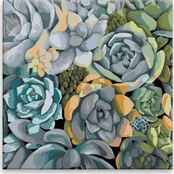 Malování podle čísel - Sukulenty - 40x40 cm, bez dřevěného rámu - CZ výroba