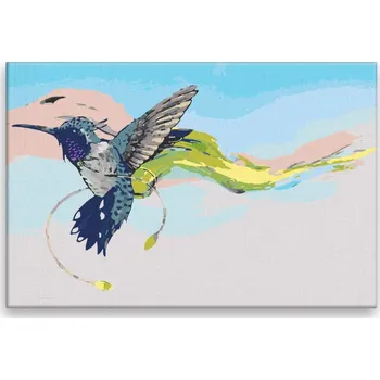 Dětské zboží Malování podle čísel - Kolibřík se závojem - 60x40 cm, bez dřevěného rámu - CZ výroba