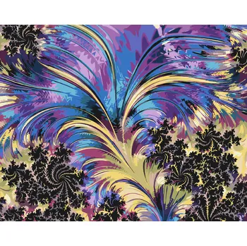 Malování podle čísel - Fraktální peří Velikost: 40x50cm, Rámování: Pouze srolované plátno