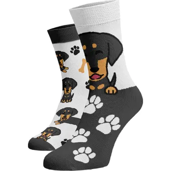 Dámské ponožky Veselé ponožky Jezevčík Bílá Bavlna 42-44