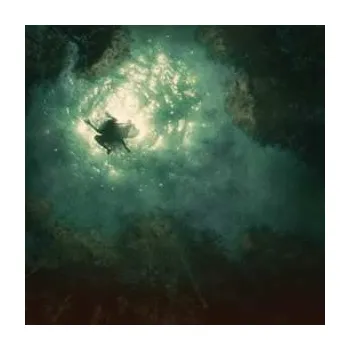 Zahraniční hudba LP Braids: Companion 2016