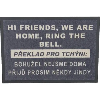 Koberec Rohožka HI FRIENDS 40x60 cm - na ven i na doma, 40x60, šedá, GDmats - 1 rok na vrácení + DOPRAVA ZDARMA k Vám i zpět