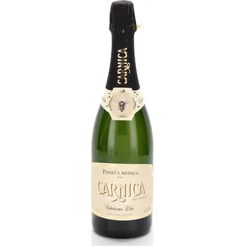 Medovina Čebelarstvo Oder - Archívní šumivá medovina Carnica - suchá (2014) - 0,75 l 12%