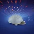Dětské svítidlo Pabobo Projektor s melodií želvička Gray