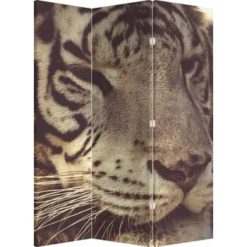Paraván LuxusniObrazy.cz Paraván - Tygr