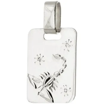 Přívěsek Přívěšek znamení Štír z bílého zlata ZZ0805STIMBF + dárek zdarma