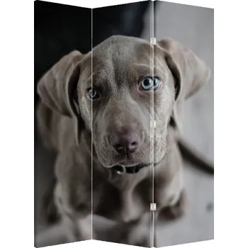 Paraván LuxusniObrazy.cz Paraván - Štěně