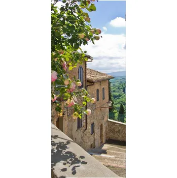 Fototapeta LuxusniObrazy.cz Fototapeta na dveře - Růže na balkóně