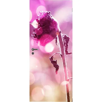 Fototapeta LuxusniObrazy.cz Fototapeta na dveře