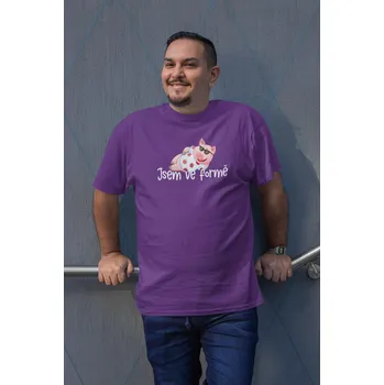 Pánské tričko Pánské tričko Jsem ve formě Barva: Fialová, Velikost: 2XL