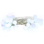 Retlux RXL 282 řetěz kuličky 40 LED…