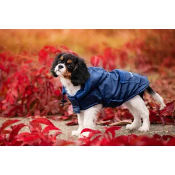Obleček pro psa Vsepropejska Winter bunda pro psa s kapucí Barva: Modrá, Délka zad (cm): 24, Obvod hrudníku: 26 - 42 cm