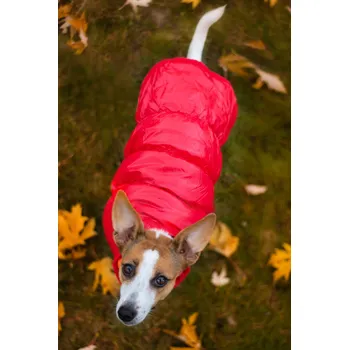 Obleček pro psa Vsepropejska Warm zimní bunda pro psa s kožichem béžová 44 cm