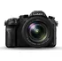 Digitální kompakt Panasonic Lumix DMC-FZ2000