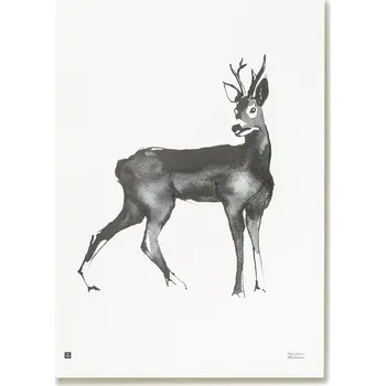 Plakát Teemu Järvi Plakát Roe Deer 50x70