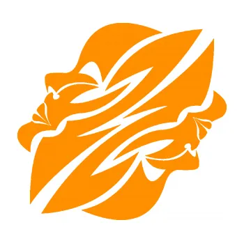 Samolepící dekorace Blíženci 003 (06 - oranžová) SAMOLEPKA NA AUTO, NÁLEPKA, FÓLIE, POLEP, TUNING, VLASTNÍ TEXT, TISK, AUTOSAMOLEPKY.cz, POLEPY, OBRÁZEK, LOGO, 3D STICKERS