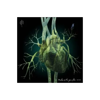 Zahraniční hudba Members Of The Green Phlox / Vinyl - Rubashov Martin [LP]