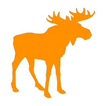 Samolepící dekorace SAMOLEPKA Los 002 pravá (06 - oranžová) NA AUTO, NÁLEPKA, FÓLIE, POLEP, TUNING, VLASTNÍ TEXT, TISK, AUTOSAMOLEPKY.cz, POLEPY, OBRÁZEK, LOGO, SAMOLEPKY