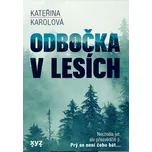 Odbočka v lesích - Kateřina Karolová (2022, pevná)