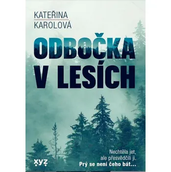 Odbočka v lesích - Kateřina Karolová (2022, pevná)